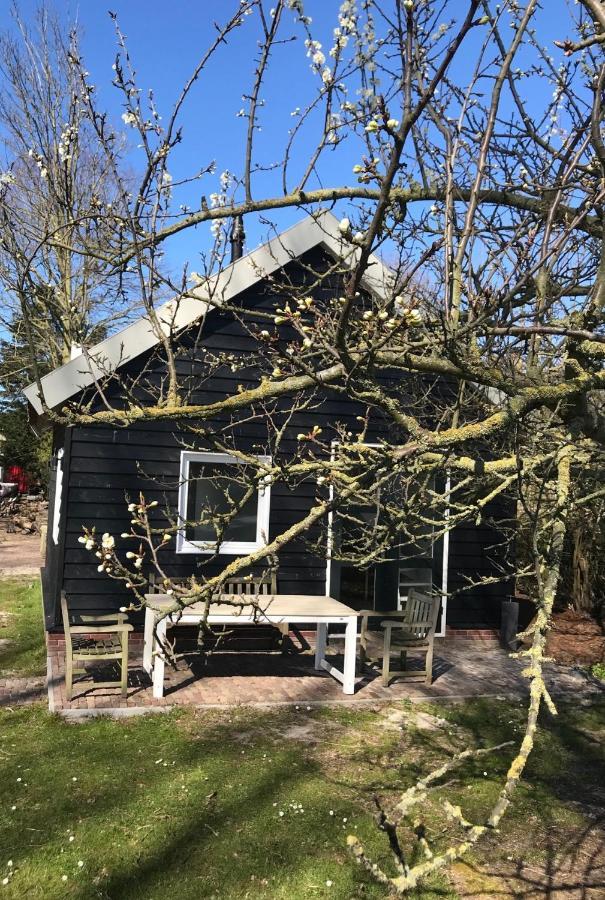 Ijsselmeer Lake Houses Andijk Exteriér fotografie