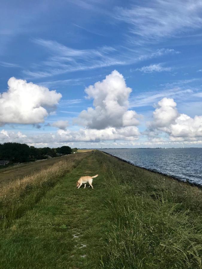 Ijsselmeer Lake Houses Andijk Exteriér fotografie