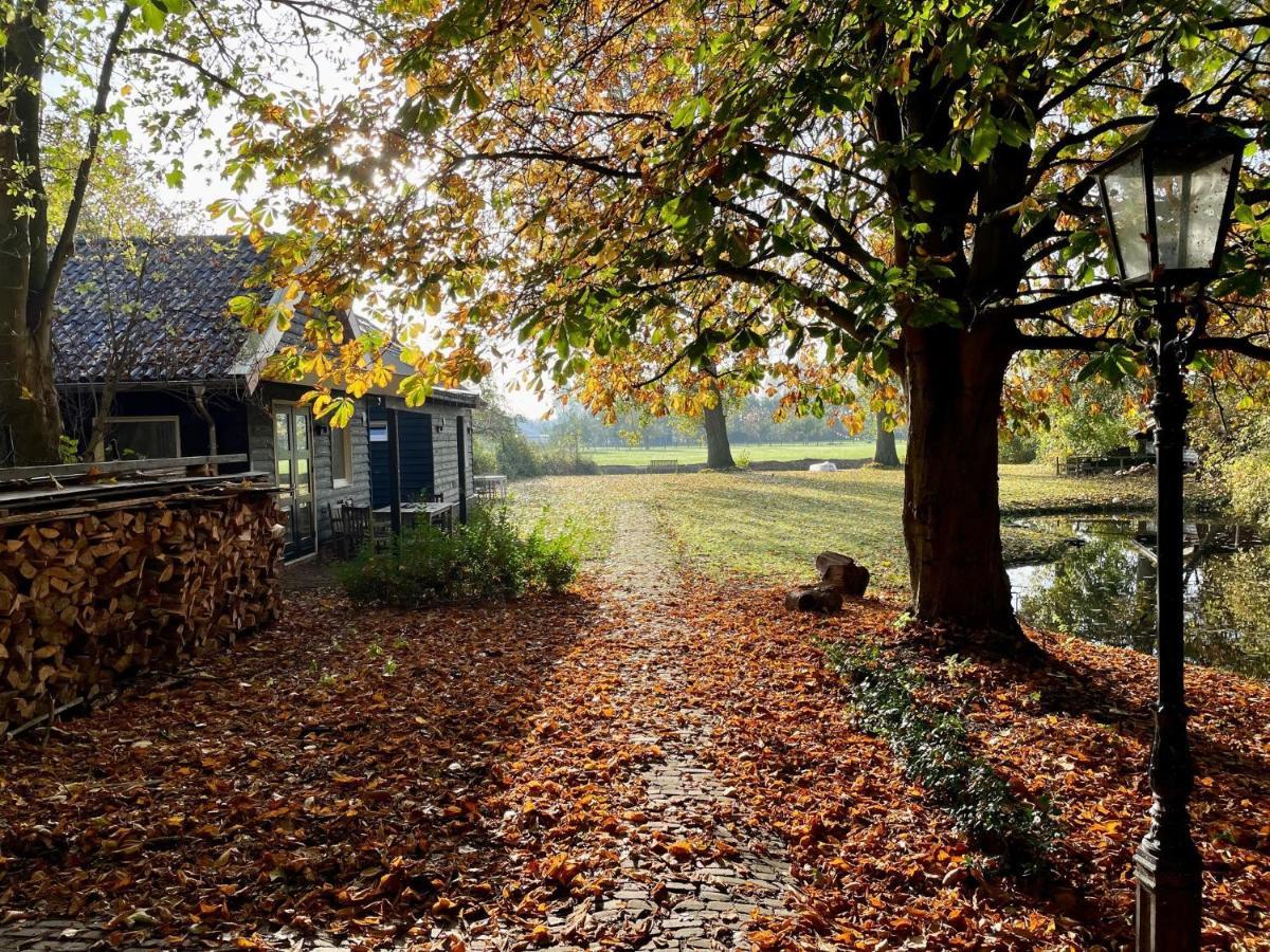 Ijsselmeer Lake Houses Andijk Exteriér fotografie